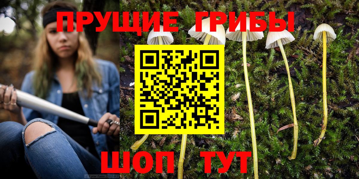 Вышний Волочёк  Галлюциногенные грибы ЛСД  Галлюциногенные грибы мухоморы  Вход с VPN 