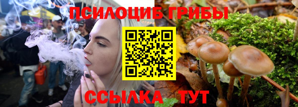 Галлюциногенные грибы GOLDEN TEACHER Вышний Волочёк